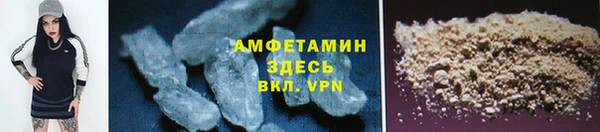 твердый Инта