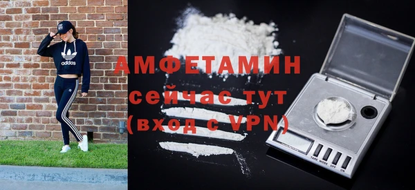 дурь Инсар