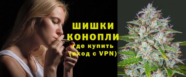 марки lsd Белокуриха