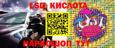 PSILOCYBIN Заволжье