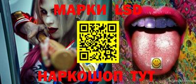 PSILOCYBIN Заволжье