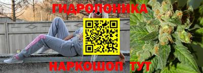 PSILOCYBIN Заволжье