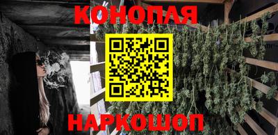 PSILOCYBIN Заволжье