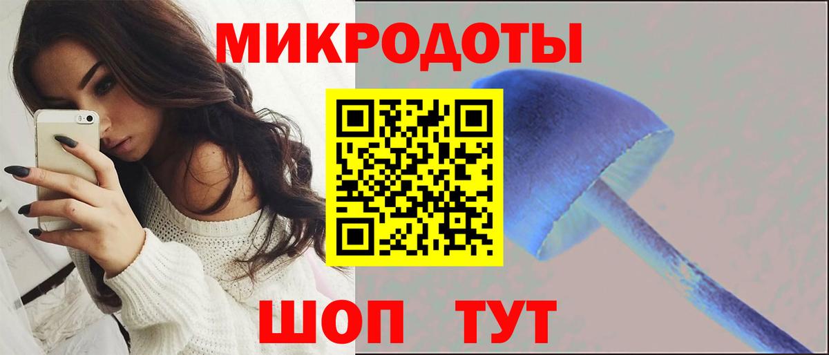 Галлюциногенные грибы Psilocybine cubensis  Вход с VPN  Лыткарино  цена   Псилоцибиновые грибы MAGIC MUSHROOMS 